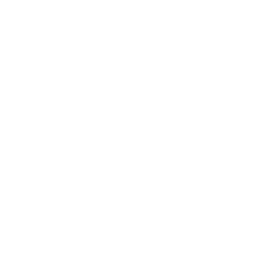 Logo-IV